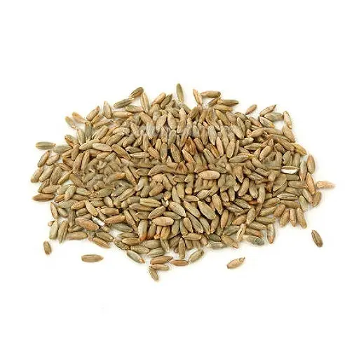 Wholesale rye grain in bulk from Kazakhstan manufacturer