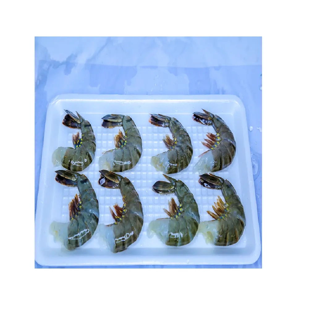 High Quality Black Tiger Shrimp Headless Shell On Bulk Packaging With Best Fresh Shrimp