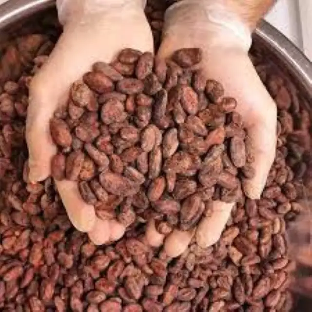 Cocoa Beans