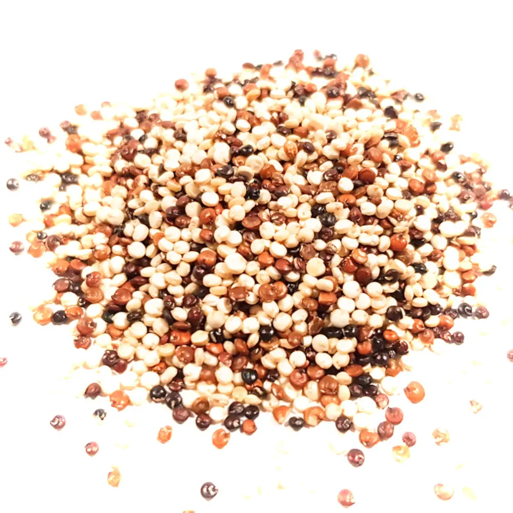 MIX QUINOA FROM PERU Organic Tricolor quinoa at low price