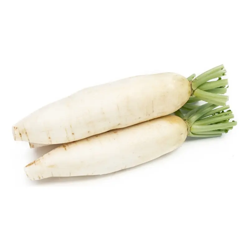 Natural Fresh White Radish Export Quality