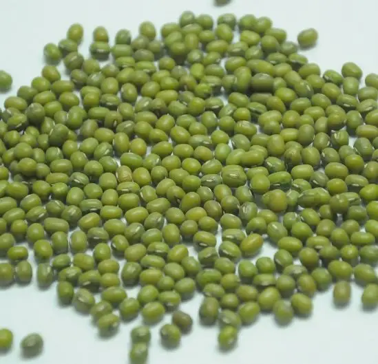 Green mung bean Mung Beans / Mung Dal / Green Beans