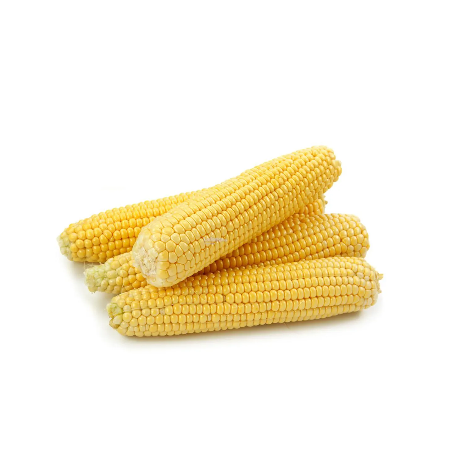 2020 Желтая Кукуруза/не содержащая ГМО Желтая Кукуруза оптом от производителя из Таиланда оптовая продажа для экспорта новейшего урожая
