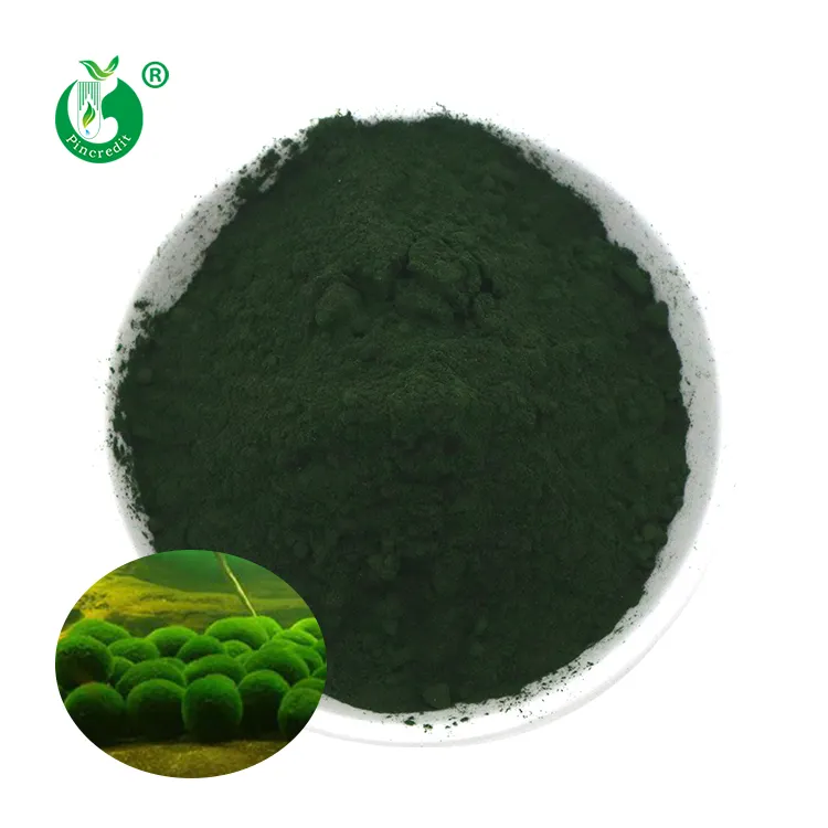 Поставка Pincredit, бесплатный образец, зеленый суперпищевой органический порошок хлорелы из водорослей