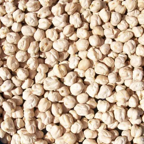 Organic White Channa/Indian Dried White Chickpeas 9mm