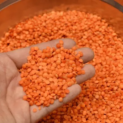 Australia Red whole lentils