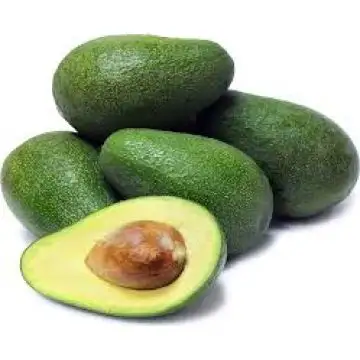 FRESH AVOCADO with HIGH QUALITY and BEST PRICE 2021