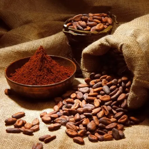 Cacao bean / cocoa (Organic certified) From South Africa