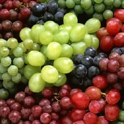 Sweet fresh red Red grape Green grape Bulk grape