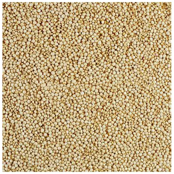 White Quinoa Seeds Health Care Supplements From India