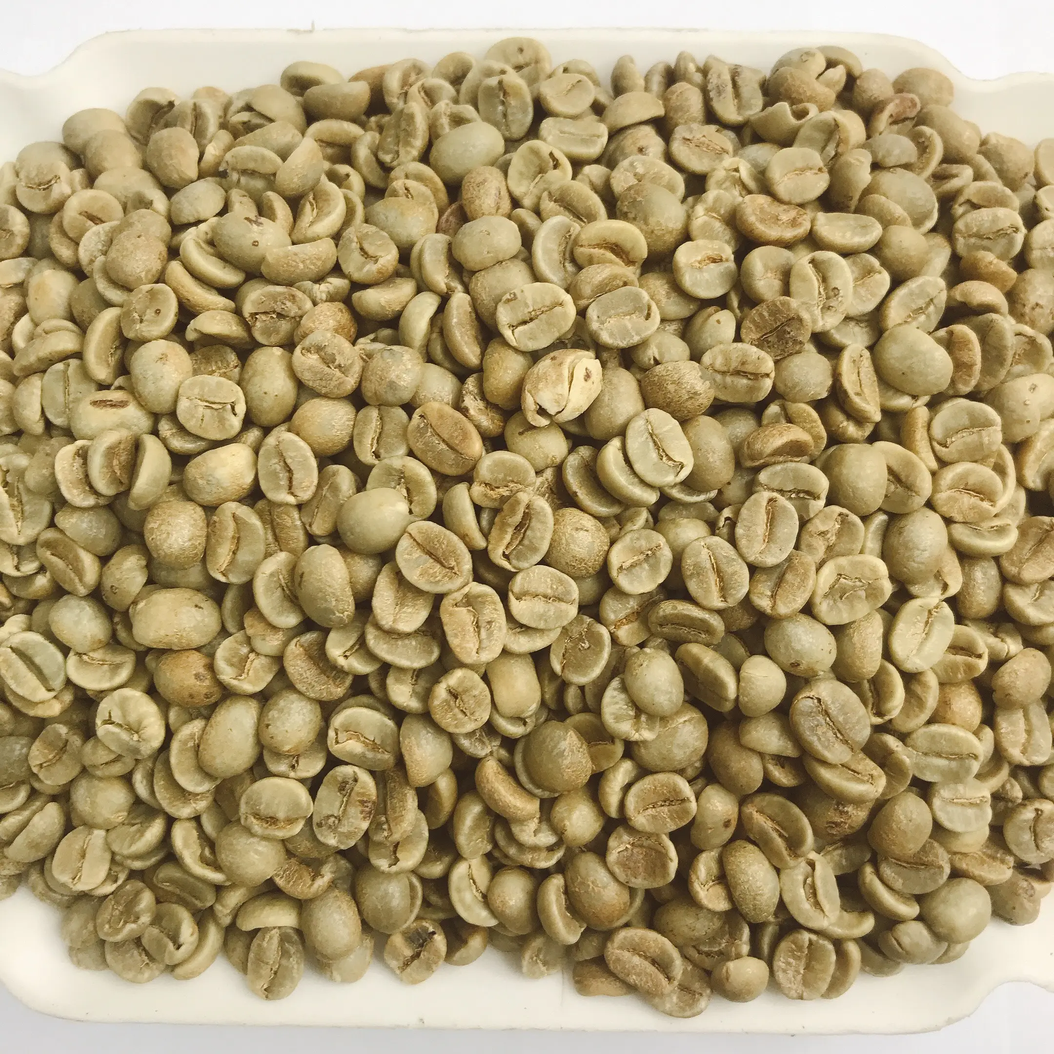 Вьетнамские зеленые кофейные бобы арабика кофе зеленые бобы готовы к экспорту по всему миру для оптовой продажи цельных зерен кофе
