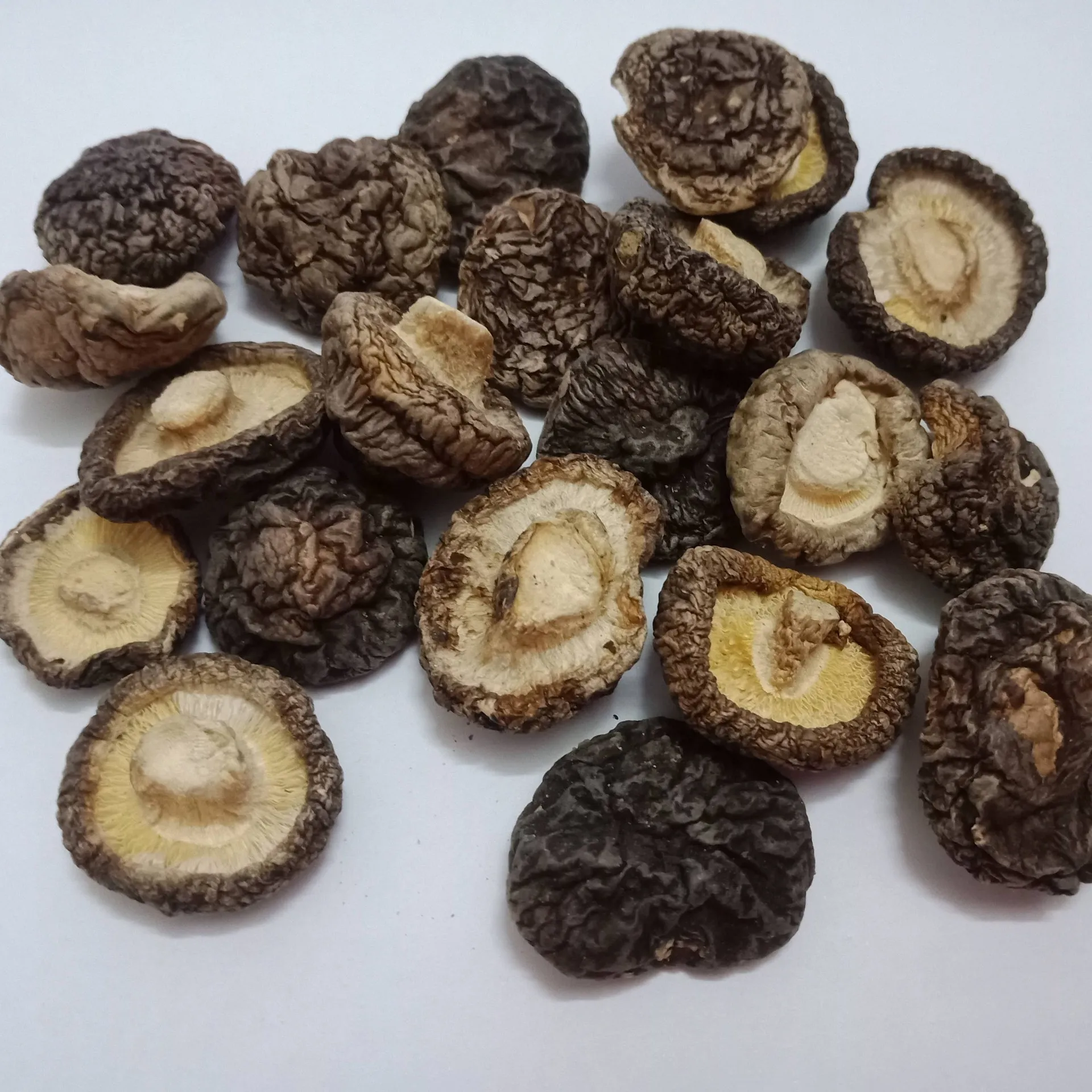 Оптовая продажа, органические сушеные грибы shiitake, экстракт грибов shiitake/Hana + 84 901 006 904