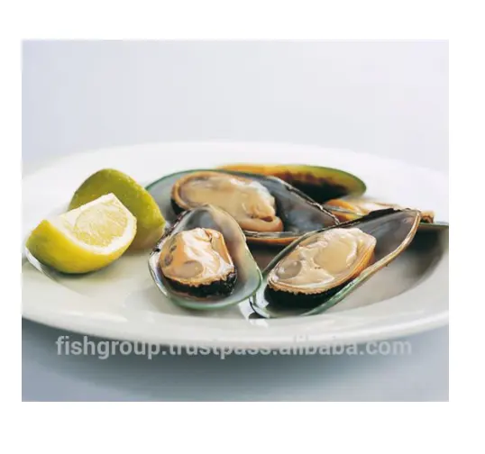 Green Fresh Mussels Oyster Half Shell With 1kg/box x 12/ctn Packing