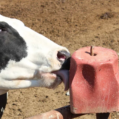 Classic Himalayan Animal Licking Pink Salt Lick Horse Cattles Pure Natural for Livestock .