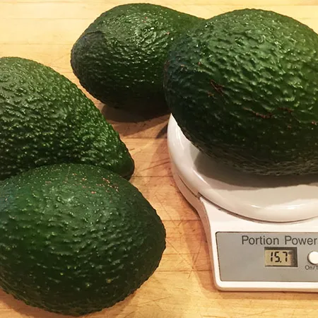 Quality avocado for sale