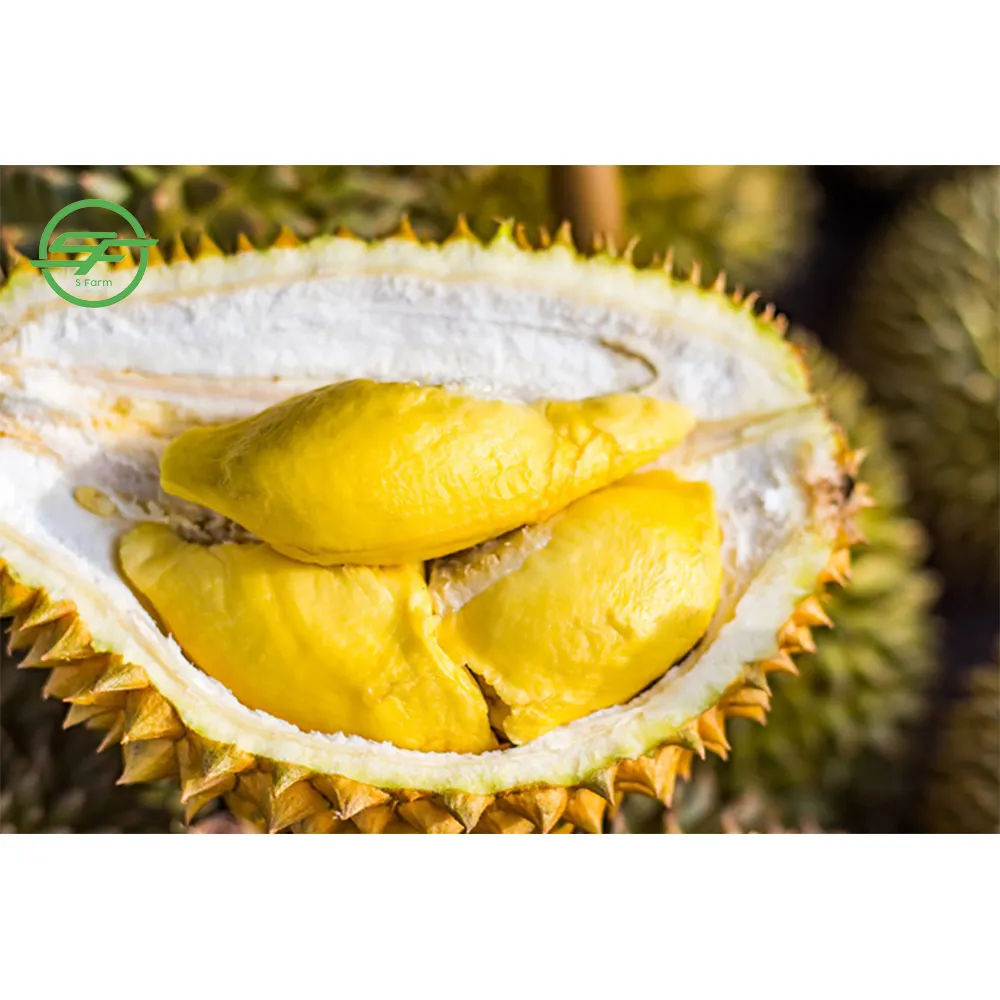 Fresh Durian Vietnam Product Most Delicious Durian (Whatsapp/zalo/wechat: +84 912 964 858)