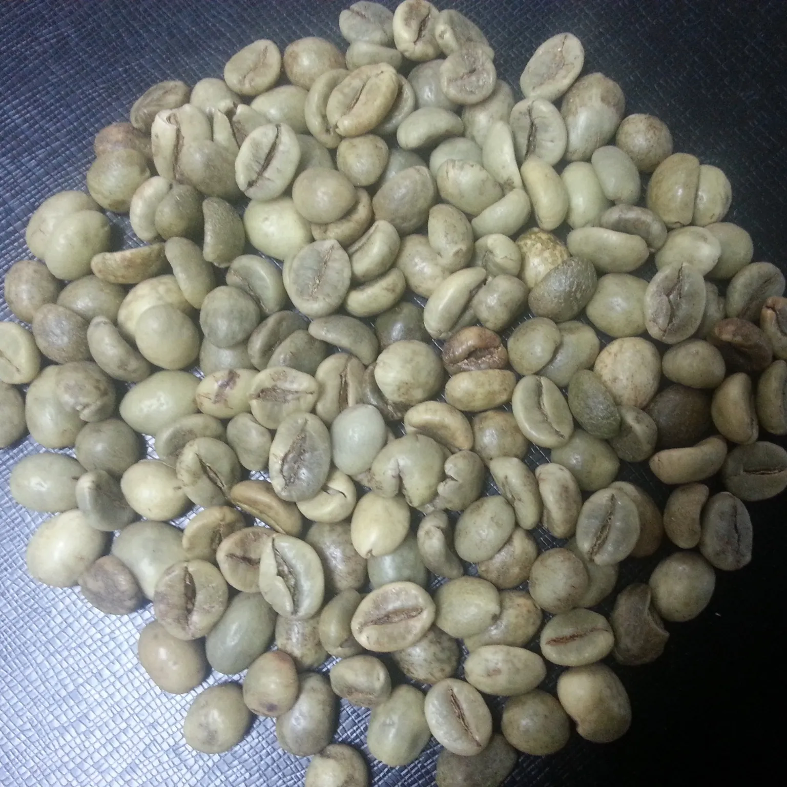 Raw Robusta Coffee Beans Wet Polished Quality No.1 Vietnam (TRACY HANFIMEX )