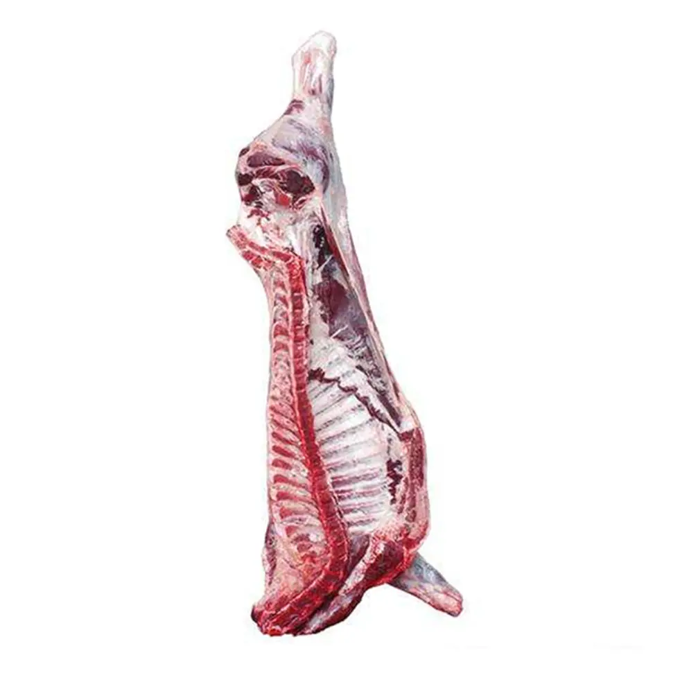 100% халяльное свежее/замороженное овечье/Коза/мясо ягненка/каркас высшего качества для продажи