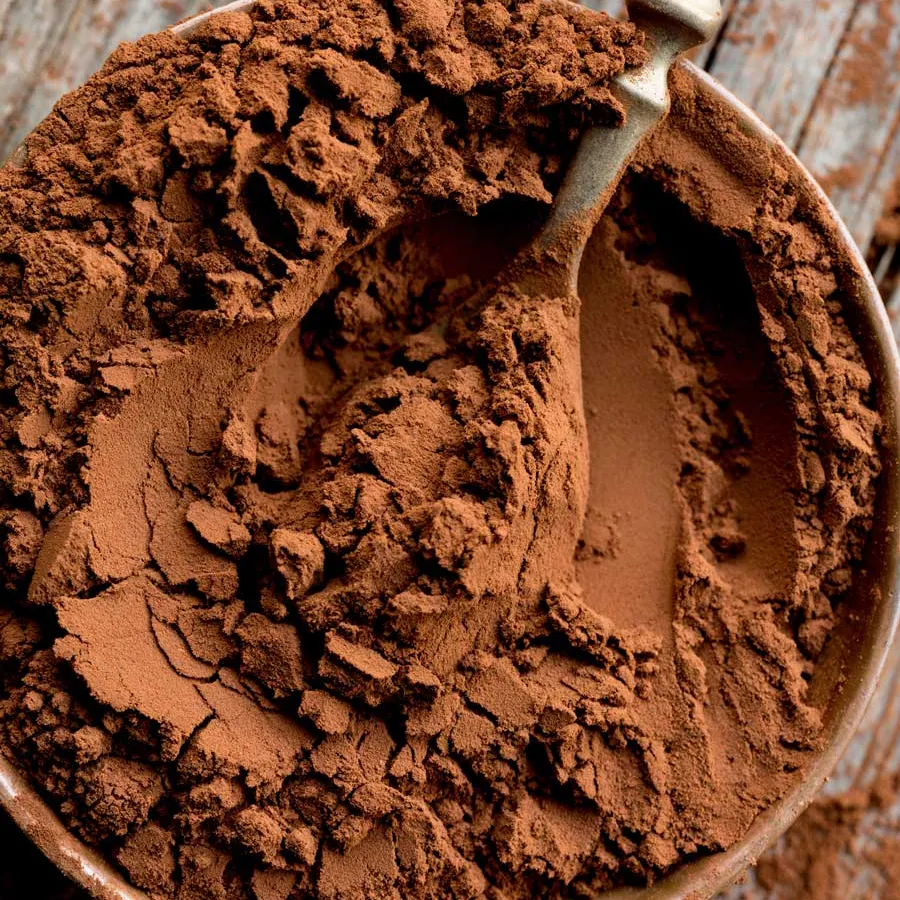 Natural Chocolate Cocoa Powder Bulk Sales