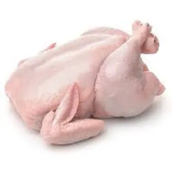 High Quality Fresh Frozen Turkey Breast