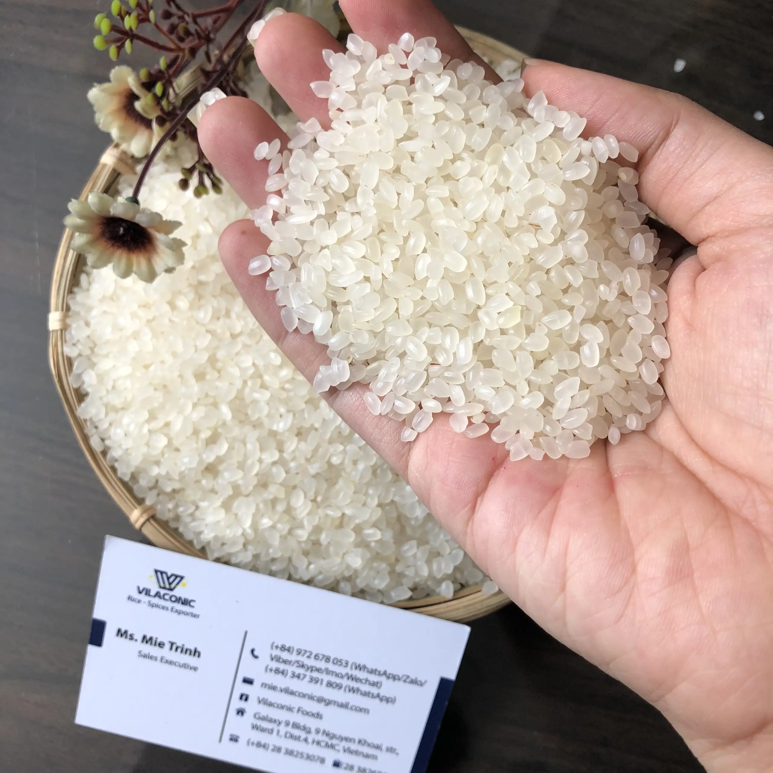 Vietnam Japonica Sushi Round Rice - Camolino rice WhatsApp: +84972678053 (Mie Trinh)