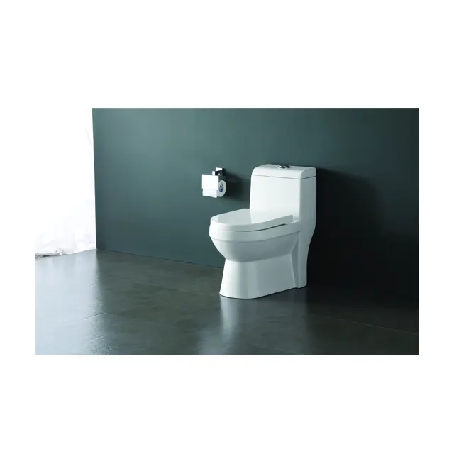 Porcelain sanitary ware bathroom suite toilet