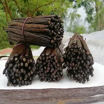 Продажа ванильных бобов/Мадагаскарские Ванильные бобы