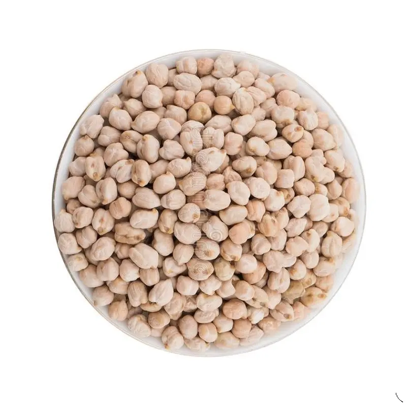 Desi Chickpea : protein in kala chana per 100 gram