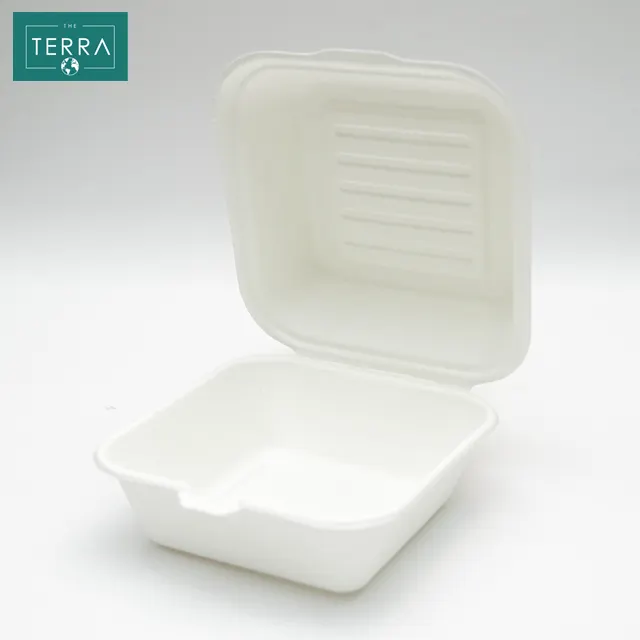 Vietnam White 320*224*50 mm Biodegradable Surgarcane Pulp Moulding Bagasse Food Packaging Boxes 9*6 clamshell