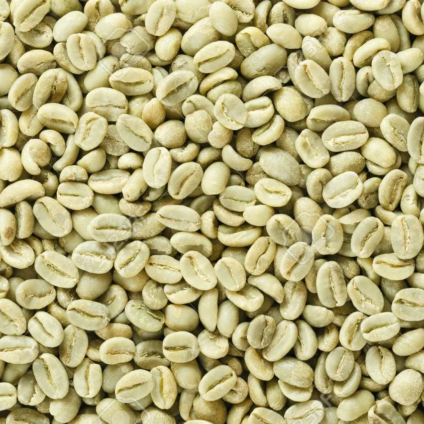 Good price arabica green coffee beans High Quality Coffee By Vietnam Agri brand