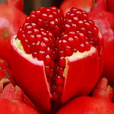 fresh pomegranate