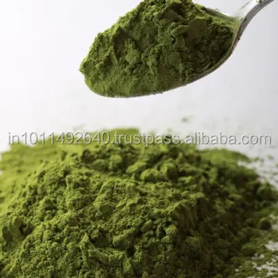 100% natural and pure Mulberry leaf powder