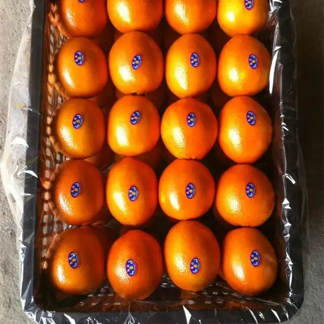 Свежий малыш мандарин оранжевый/Nanfeng оранжевый