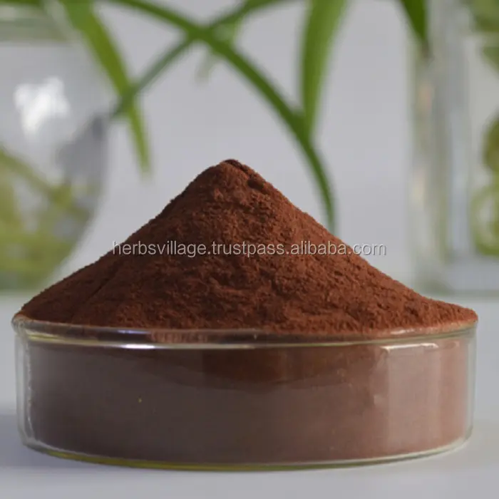 High Quality Grape Seed Extract Powder