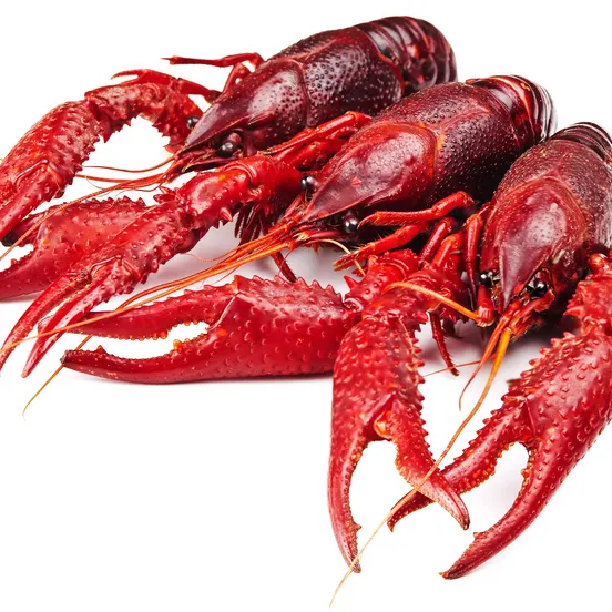 Delicious Good Taste Crawfish Live Pre-cooked Cleaned Crawfish (Procambarus clarkii)