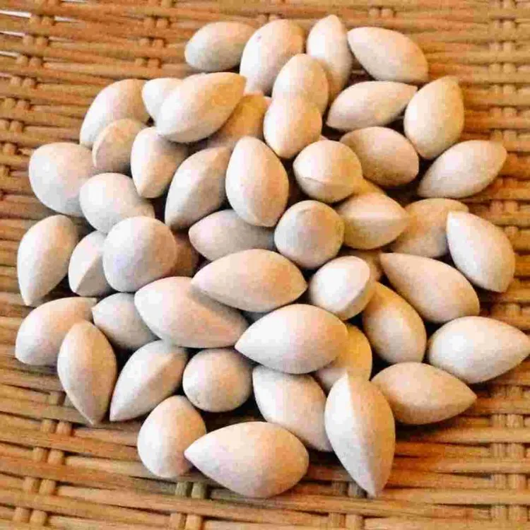 Ginkgo Nuts for Sale on wholesales