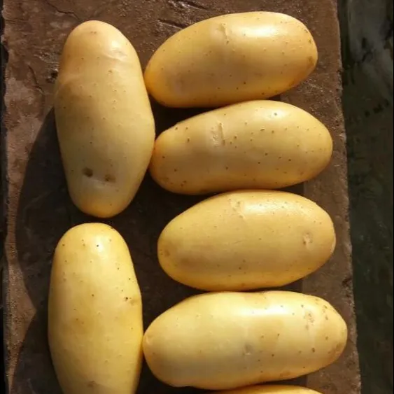 mozeeka potatoes