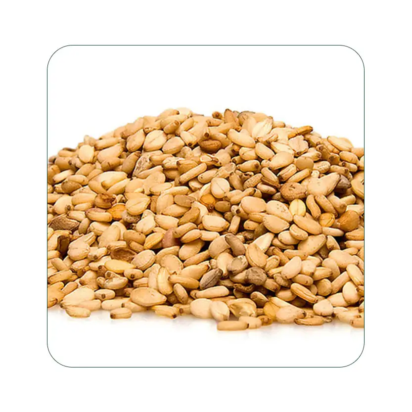 Bulk Sesame Seeds / Organic Sesame Seeds Wholesale Supplier