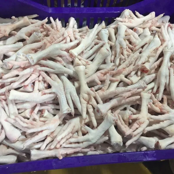 Interested Buyers Frozen Poultry Chicken Part Chicken Feet Available in Pakistan Size Like 35-55gm A+ Grade Box Packaging Body