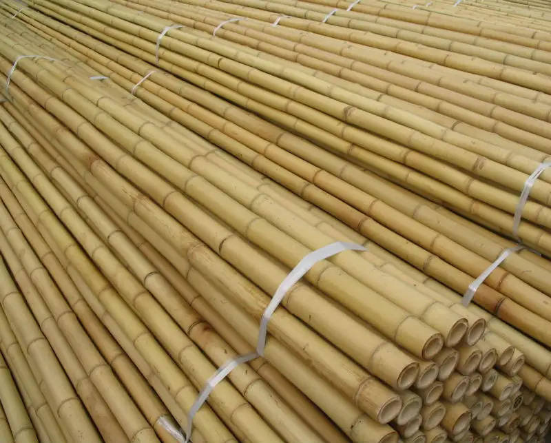 Бамбуковый материал/большой бамбуковый шест для украшения/бамбуковый забор (WhatsApp + 841676540581)