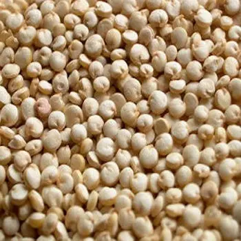 Зерна Quinoa/семена Quinoa/мука quinoa
