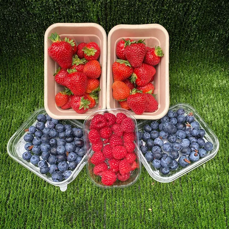 Вкусные Замороженные сушеные ягоды, ягоды насыпью, клубника, Blackberry, черника, малина, здоровая хрустящая закуска, замороженные сушеные фрукты