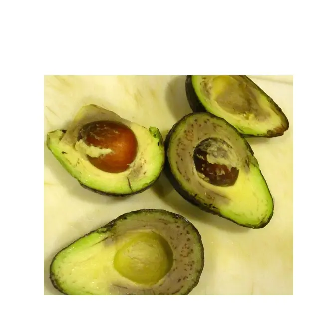 Waste avocado for sale in EUROPE.