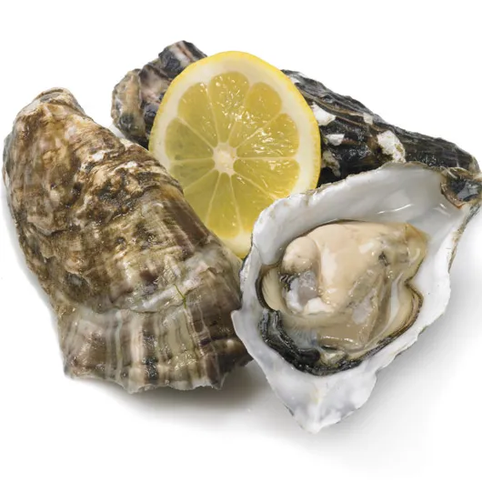 fresh live whole/ frozen oyster for wholesale