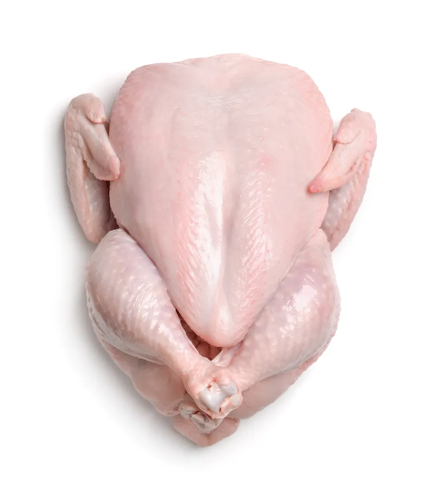 Frozen Chicken Organic Halal Best Quality Turkey