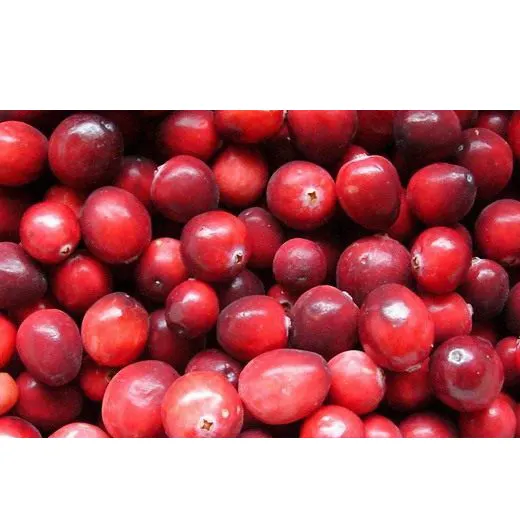 Eco-friendly Box Packaging GOST Standard Fresh/Frozen Cranberry Grown in Soughs and Hard-To-Reach Spots