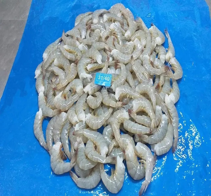 Frozen Vannamei Shrimps