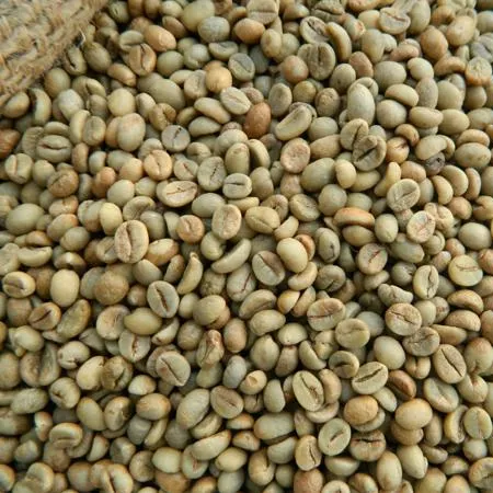 Vietnam Robusta Coffee Grade 1 (WA:+84397766566)