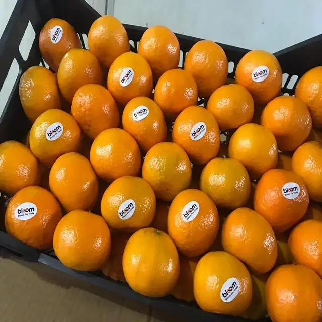 fresh mandarin for Ukraine