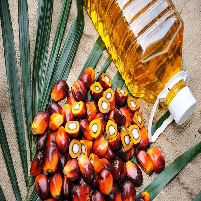 Refined/Crude ReD Palm Oil from Thailand